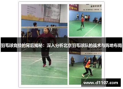 羽毛球竞技的背后揭秘：深入分析北京羽毛球队的战术与阵地布局